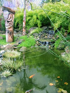 Abigail pond image