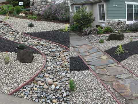 Vintage Dr. Turlock Xeriscape